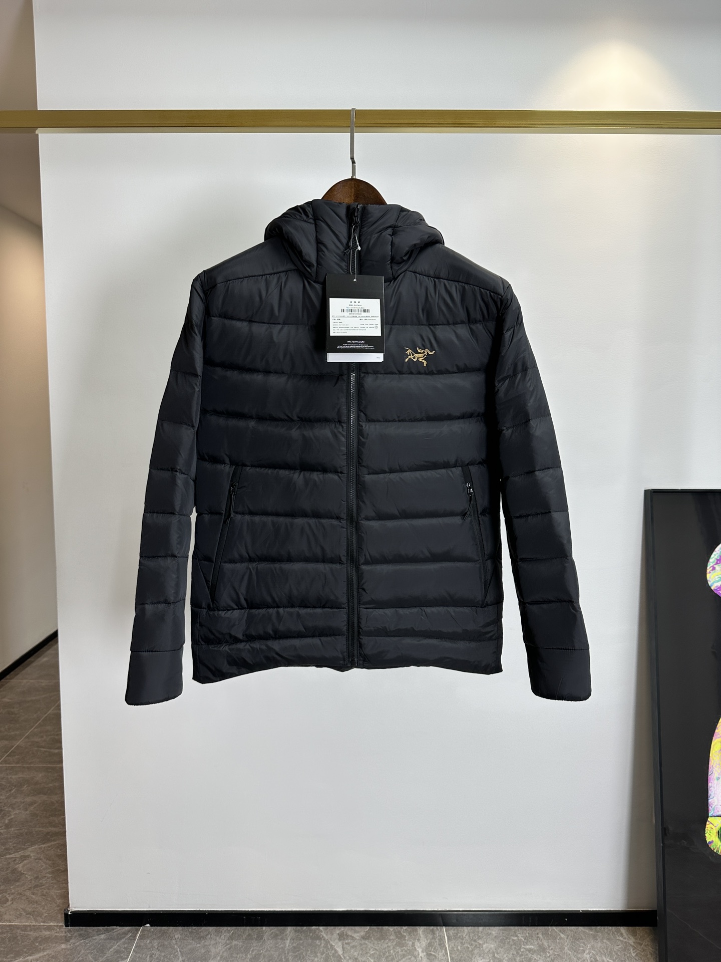 Arcteryx Down Jackets